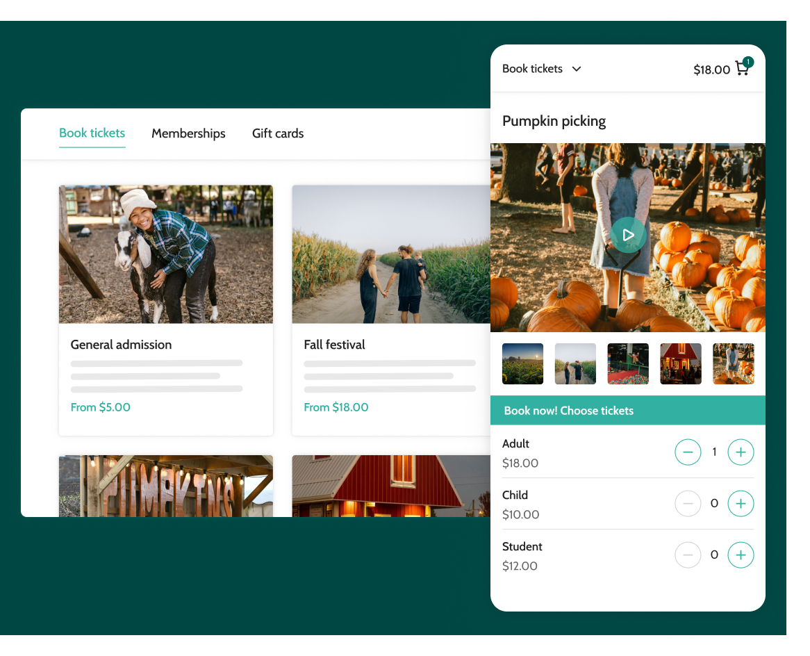 Online view of the Soft play booking system 